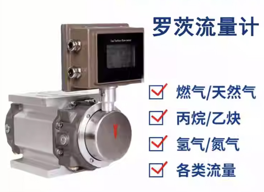 天然氣羅茨流量計