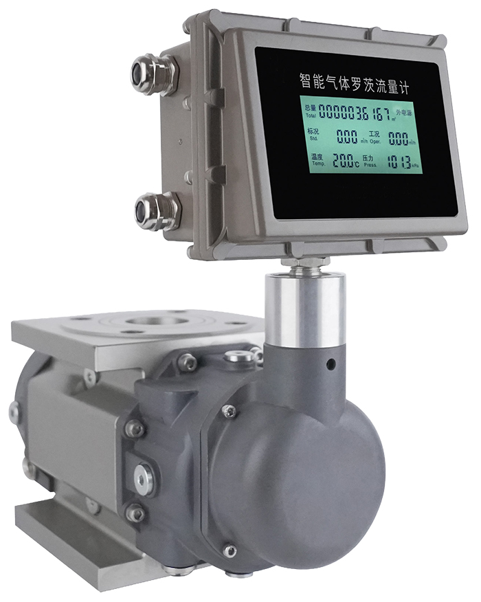 DN100氣體羅茨流量計產品圖片